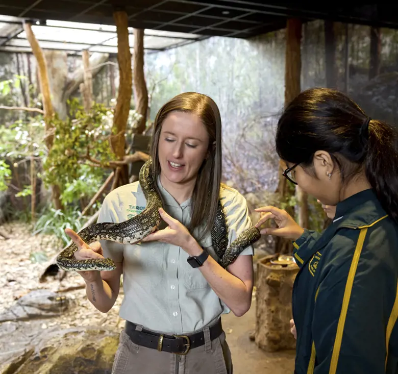 Zoo Education Manager with a python