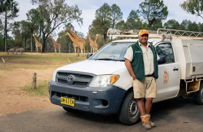 Keeper leaning on van with giraffes in background