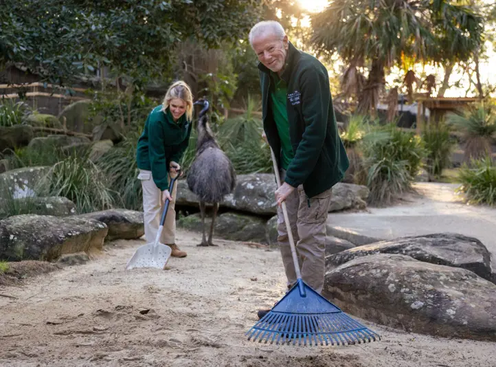 Keeper volunteers raking enclosure