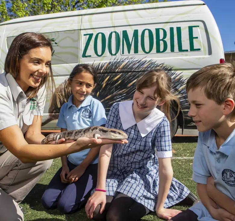 Group of children looking at lizard presented by Taronga Zoomobile Educator in front of Zoomobile Van
