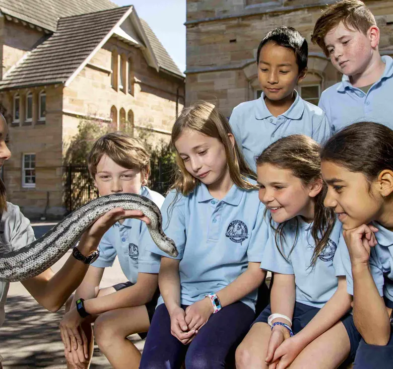 School students observing a snake during a Zoomobile wildlife education session.