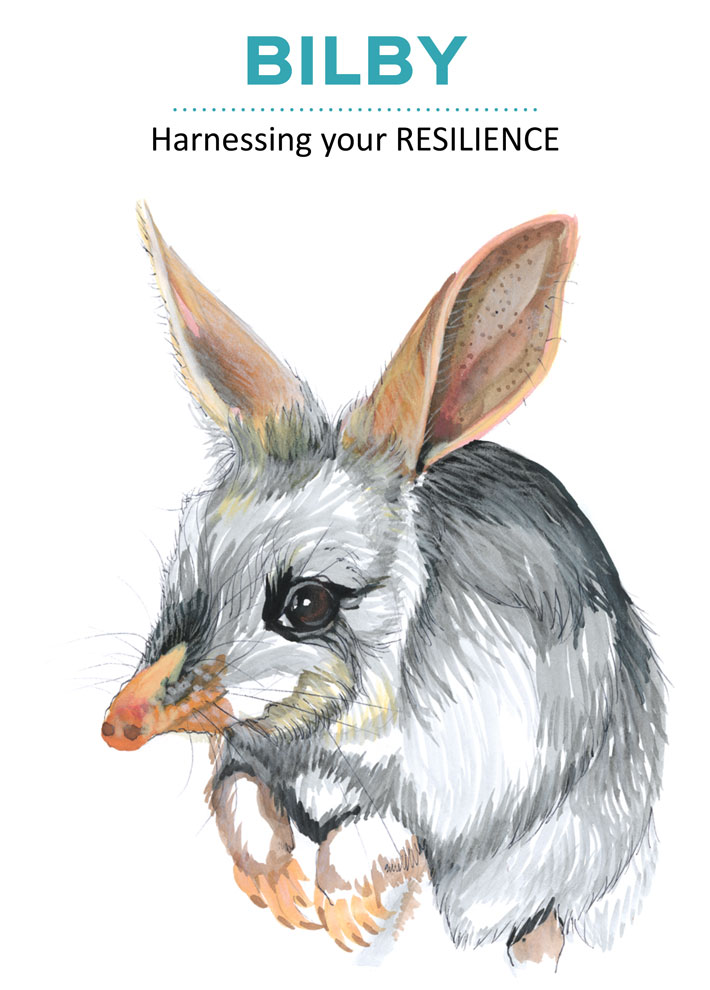 Bilby illustration from Negotiate Your Worth.