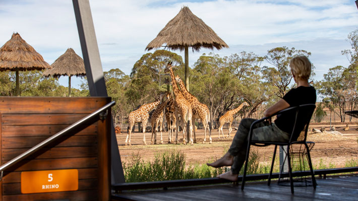 Overlook the savannah from your Lodge