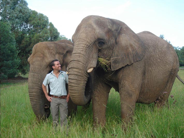 Simon with elephants