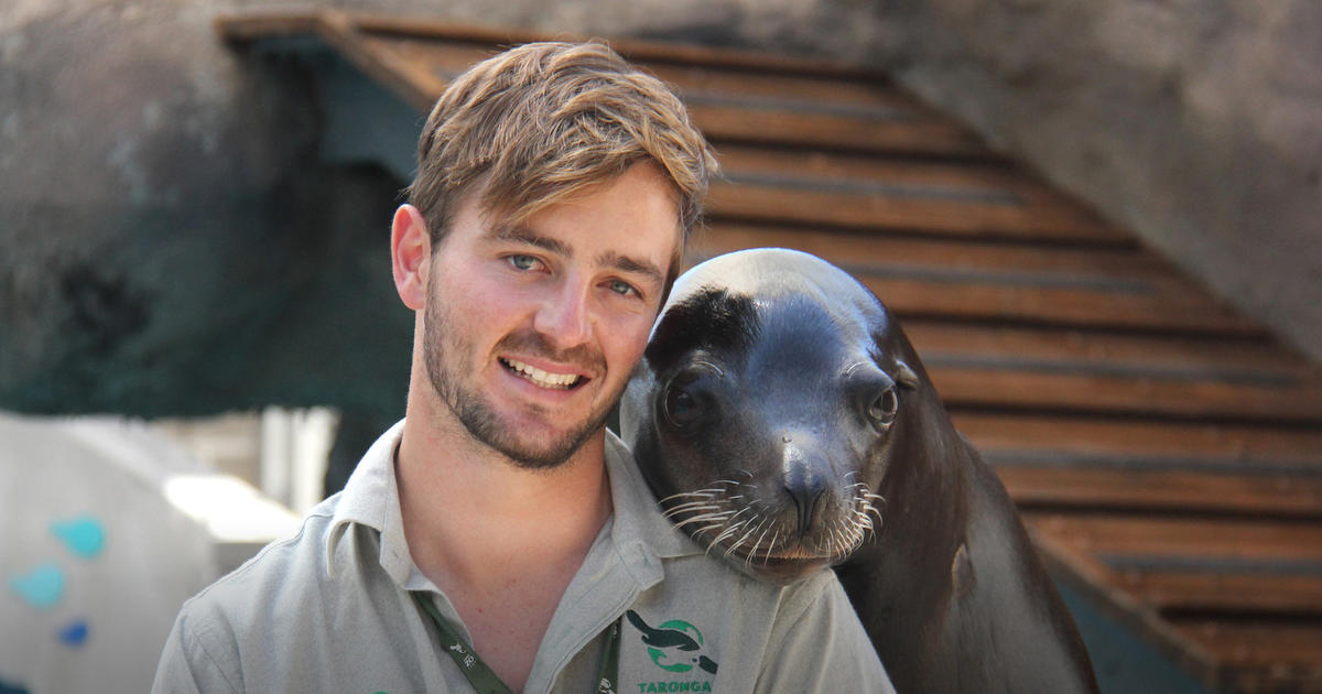 ACM20121 Certificate II in Animal Care (Sydney) | Taronga Conservation Society Australia ACM20121 Certificate II in Animal Care (Sydney) | Taronga Conservation Society Australia