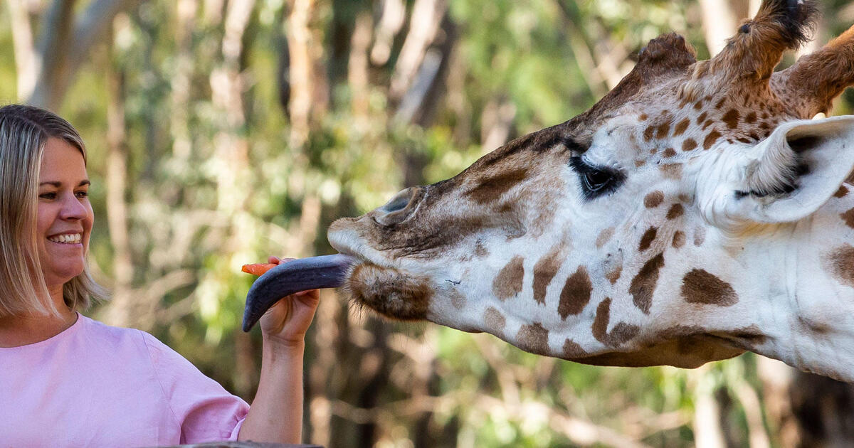Animal Encounters - Dubbo | Taronga Conservation Society Australia
