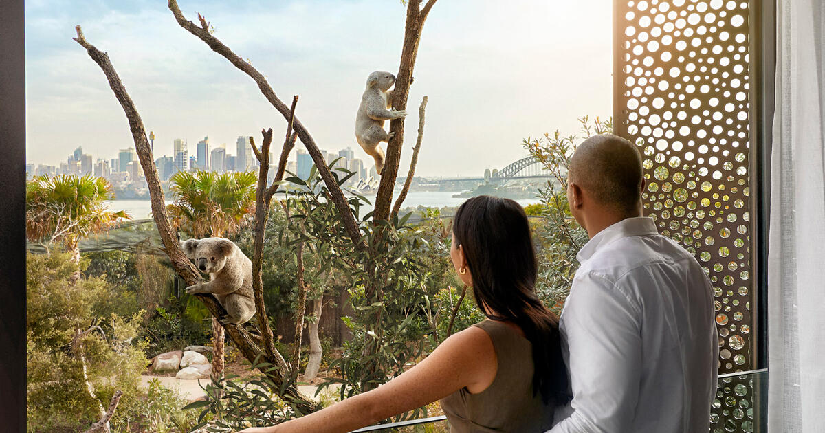 Wildlife Retreat At Taronga | Taronga Conservation Society Australia