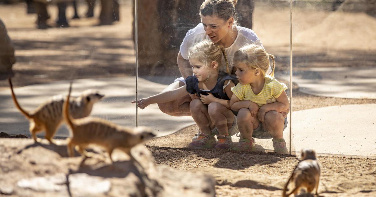 Christmas Gift Guide Taronga Conservation Society Australia