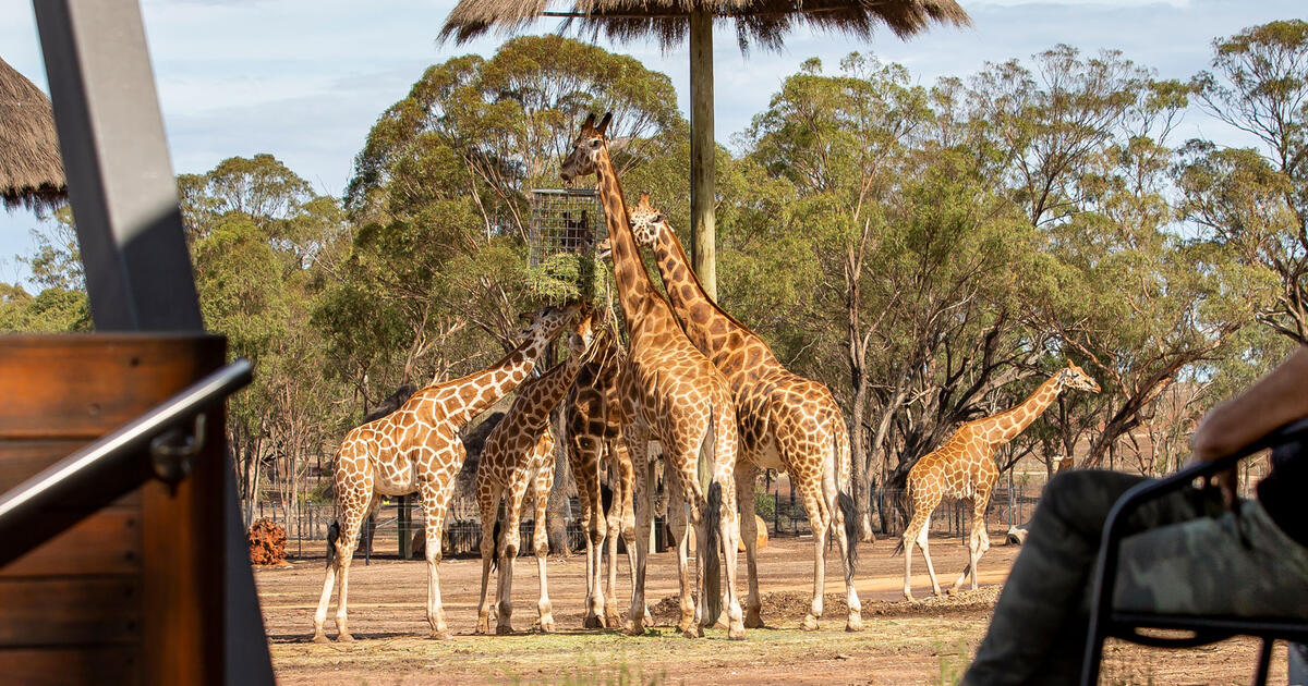 Dubbo wins big Taronga Conservation Society Australia