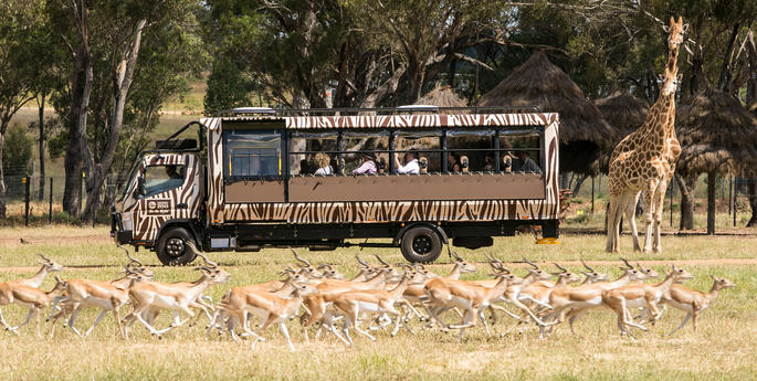 African Safari Experience Comes to Regional NSW