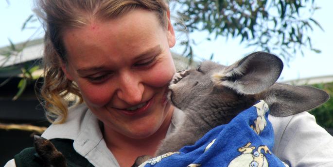 Orphaned Joey Receives the Gift of Life