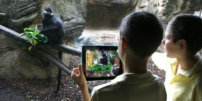 Taronga Zoo's Rainforest Heroes App now available on the App Store