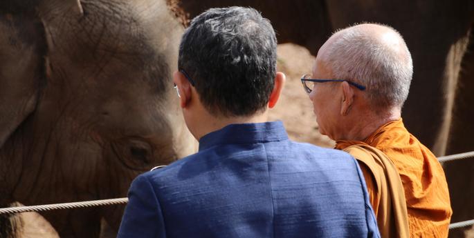 Asian Elephant calf receives birthday blessing