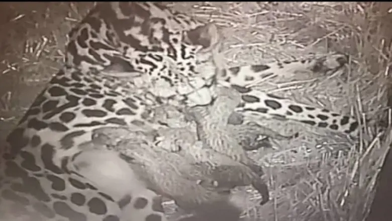 image-block-2