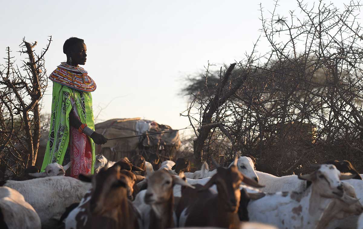 Drought in Kenya