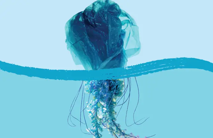 Image of Litter-free ideas for your Plastic Free July 