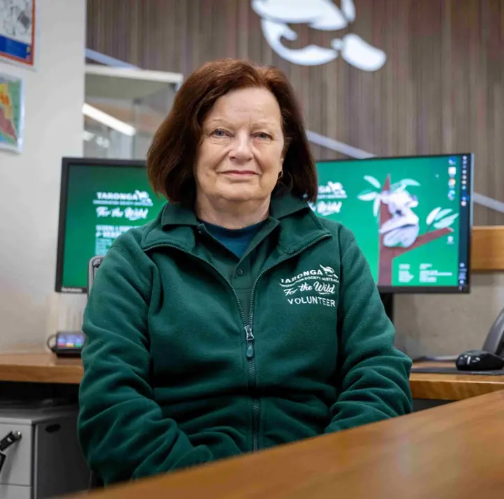 Education Volunteer sitting at desk