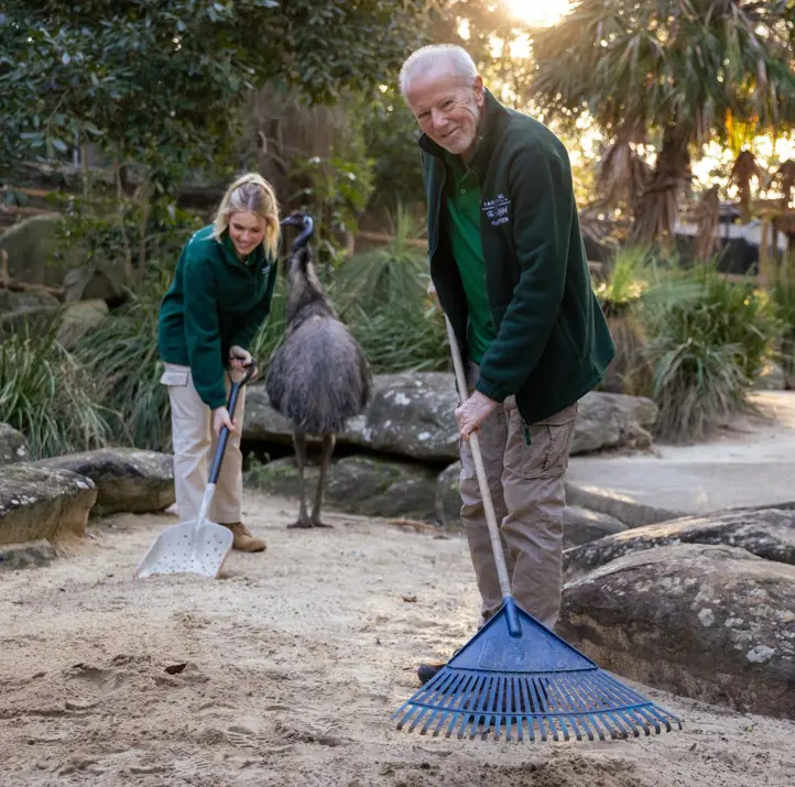 Keeper volunteers raking enclosure