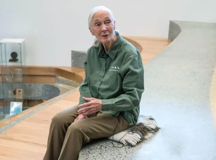 Jane Goodall at Taronga Zoo