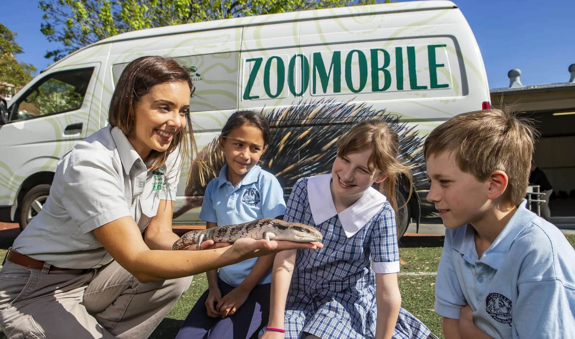 Group of children looking at lizard presented by Taronga Zoomobile Educator in front of Zoomobile Van