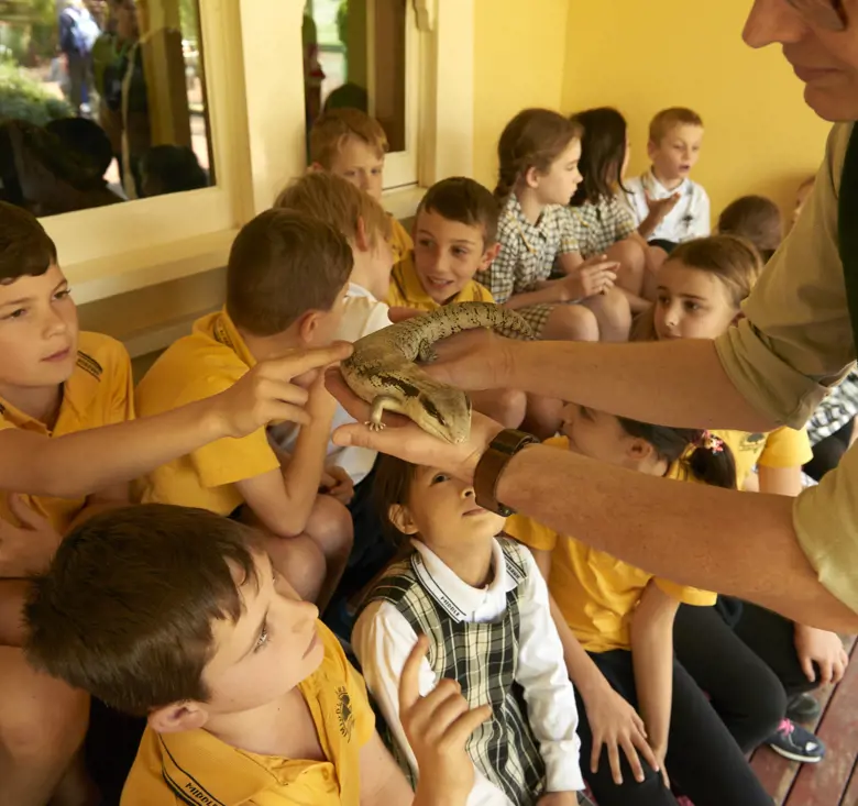 School kids touching blue tongue lizard during workshop at Backyard to Bush House at Taronga Zoo