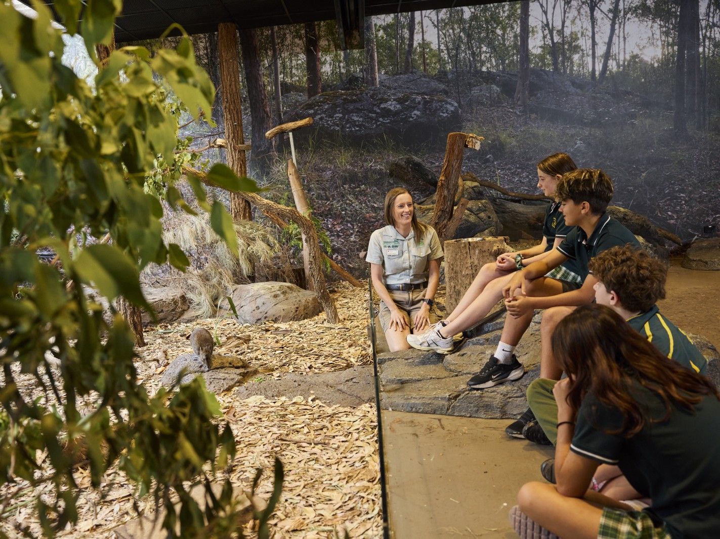 Learn at Taronga Zoo Sydney | School Workshops, Excursions & Programs ...