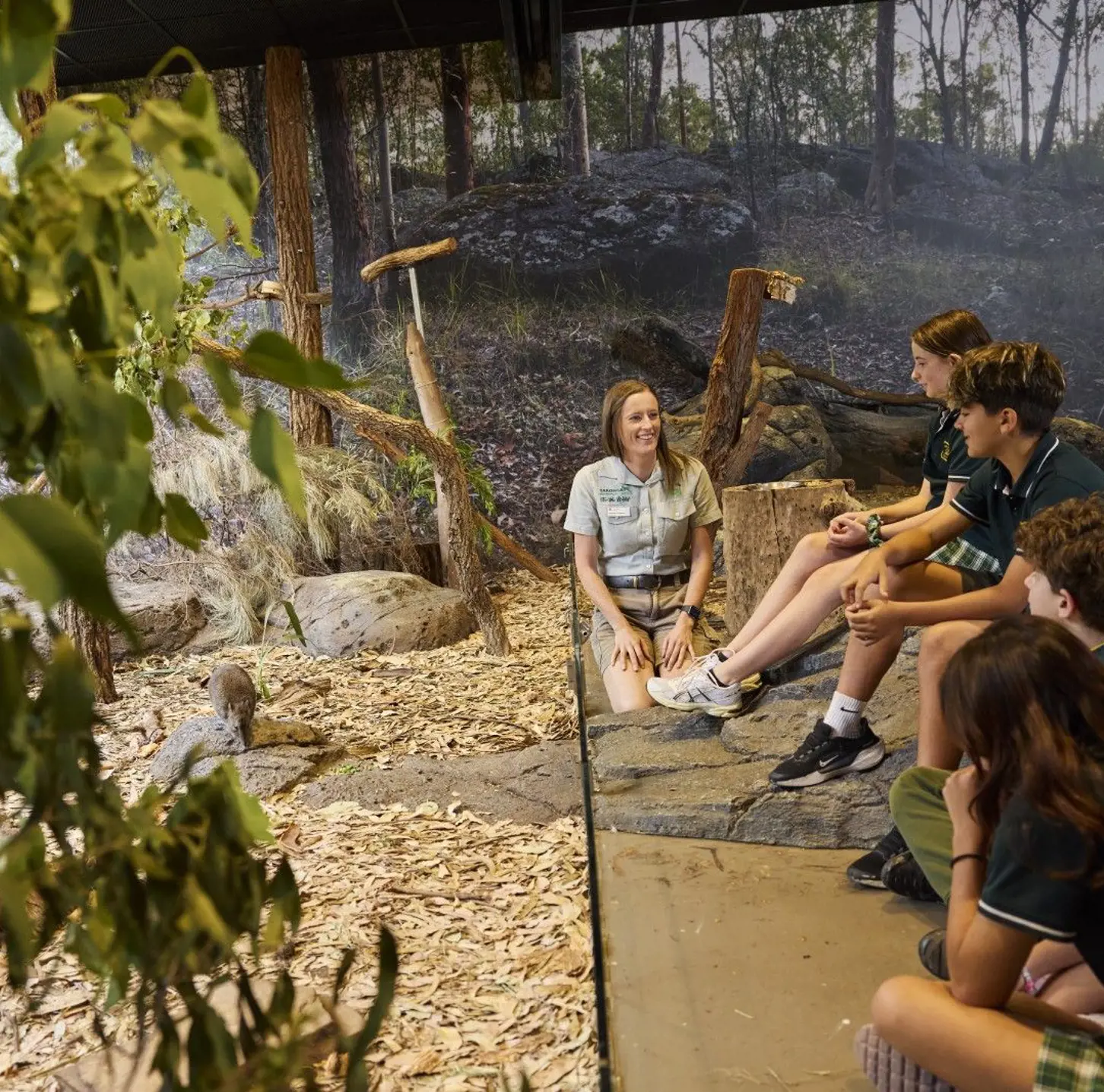 Taronga educator in bushland habitat classroom with school kids teaching them about Potoroos