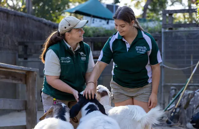 Keeper teaching certificate course student about animal care at Taronga Training Institute