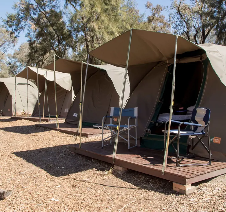 Safari‑style tents at Billabong Camp for an overnight education program.