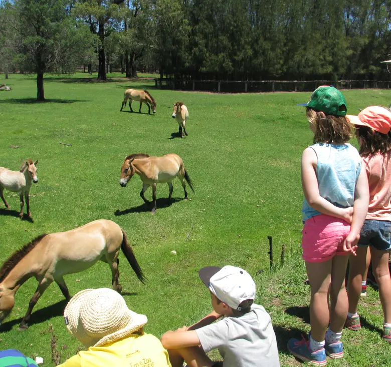 Children observing grazing animals in an open habitat during a zoo holiday program.