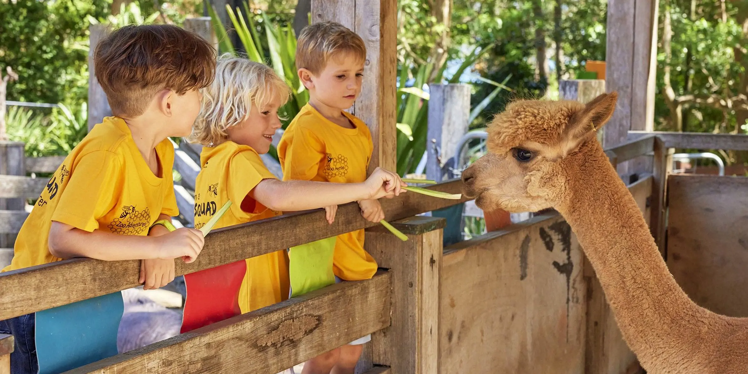 Children feeding an alpaca during a Zoo Adventures holiday program.