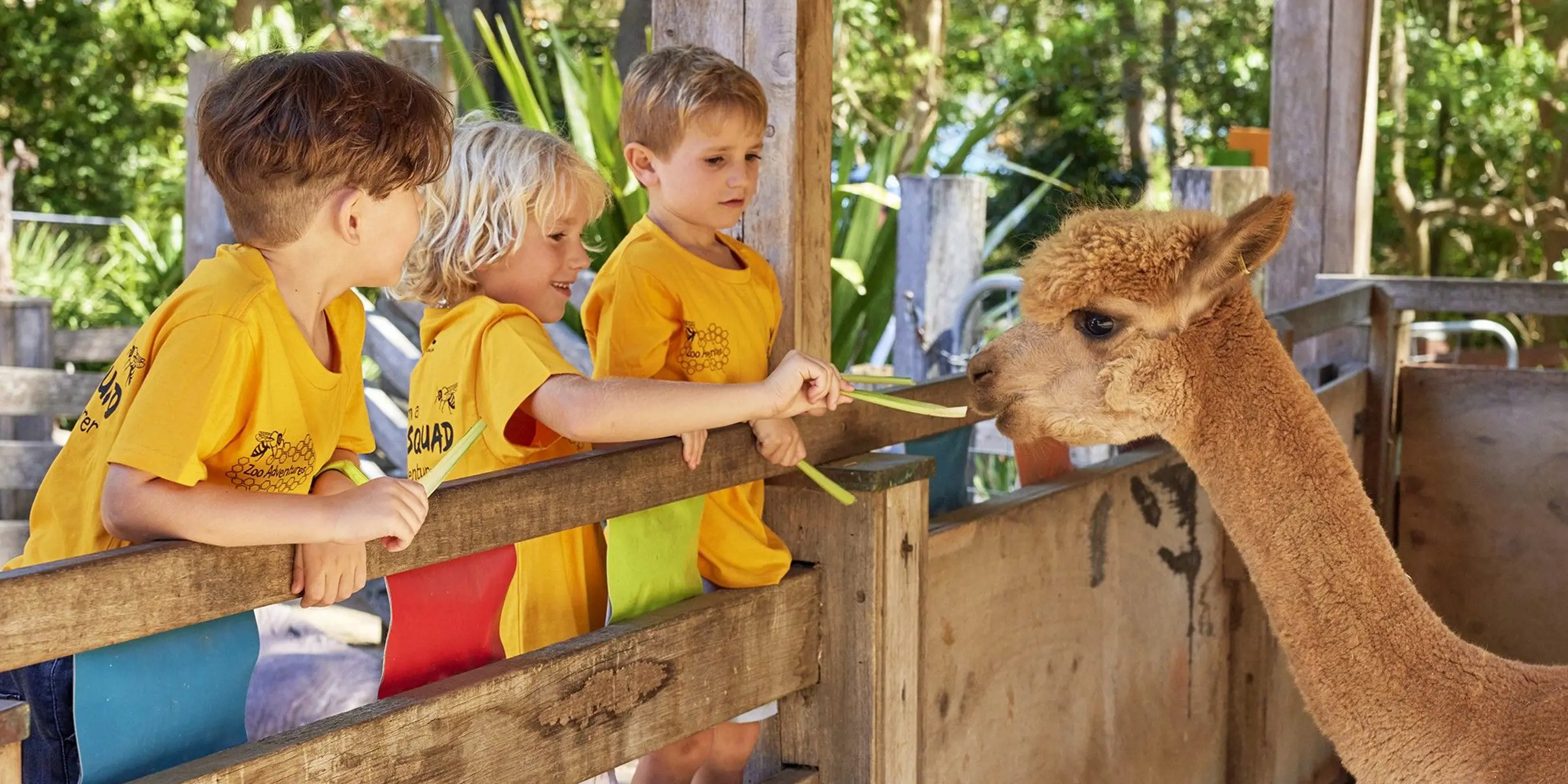 Children feeding an alpaca during a Zoo Adventures holiday program.