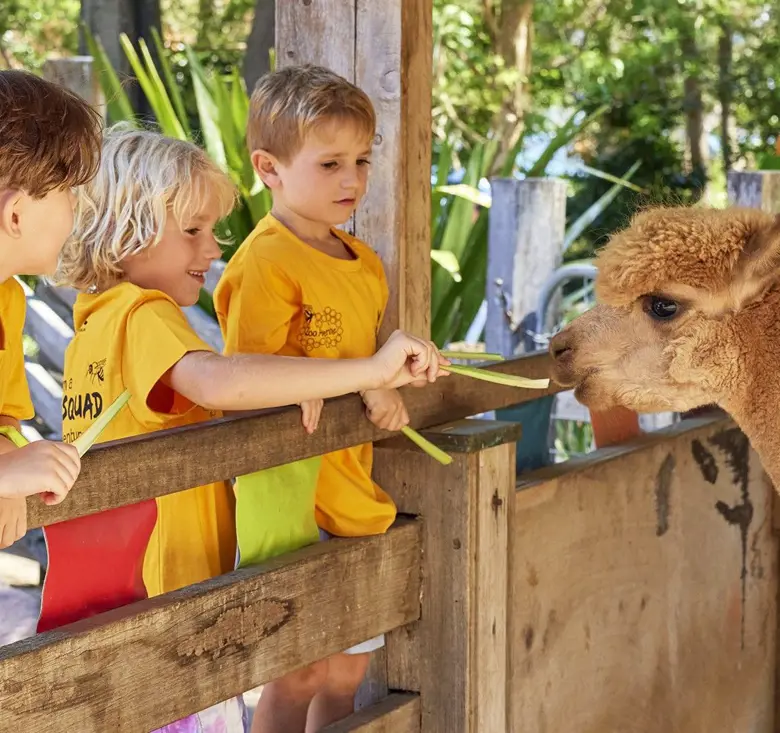 Children feeding an alpaca during a Zoo Adventures holiday program.