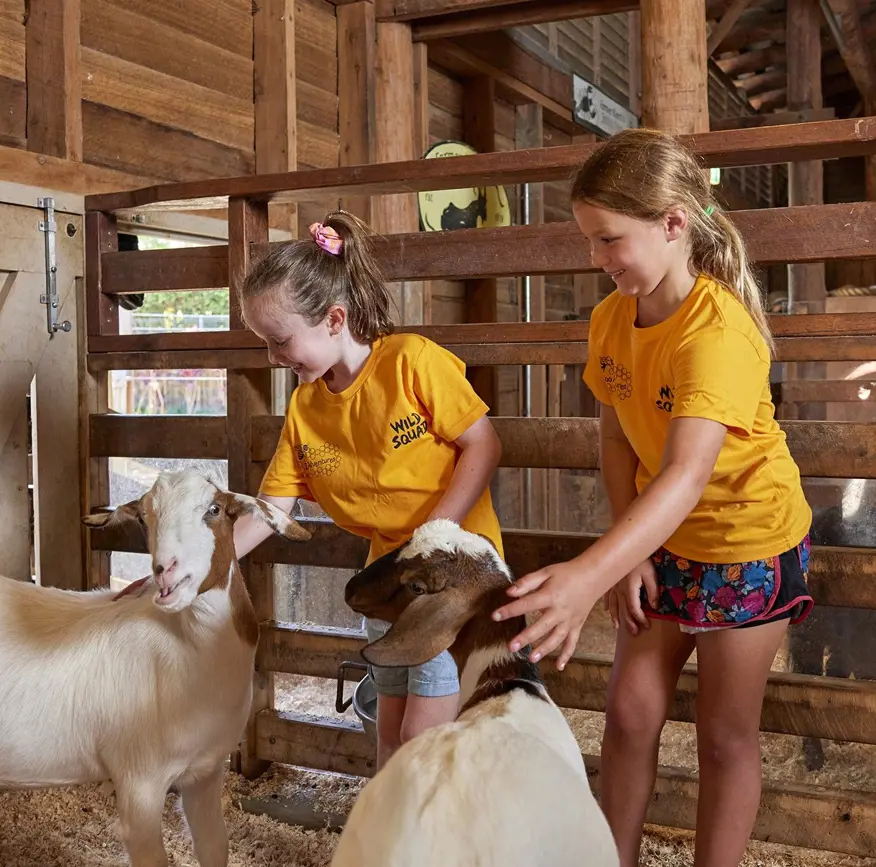 Children participating in a Zoo Adventures holiday program while interacting with goats.