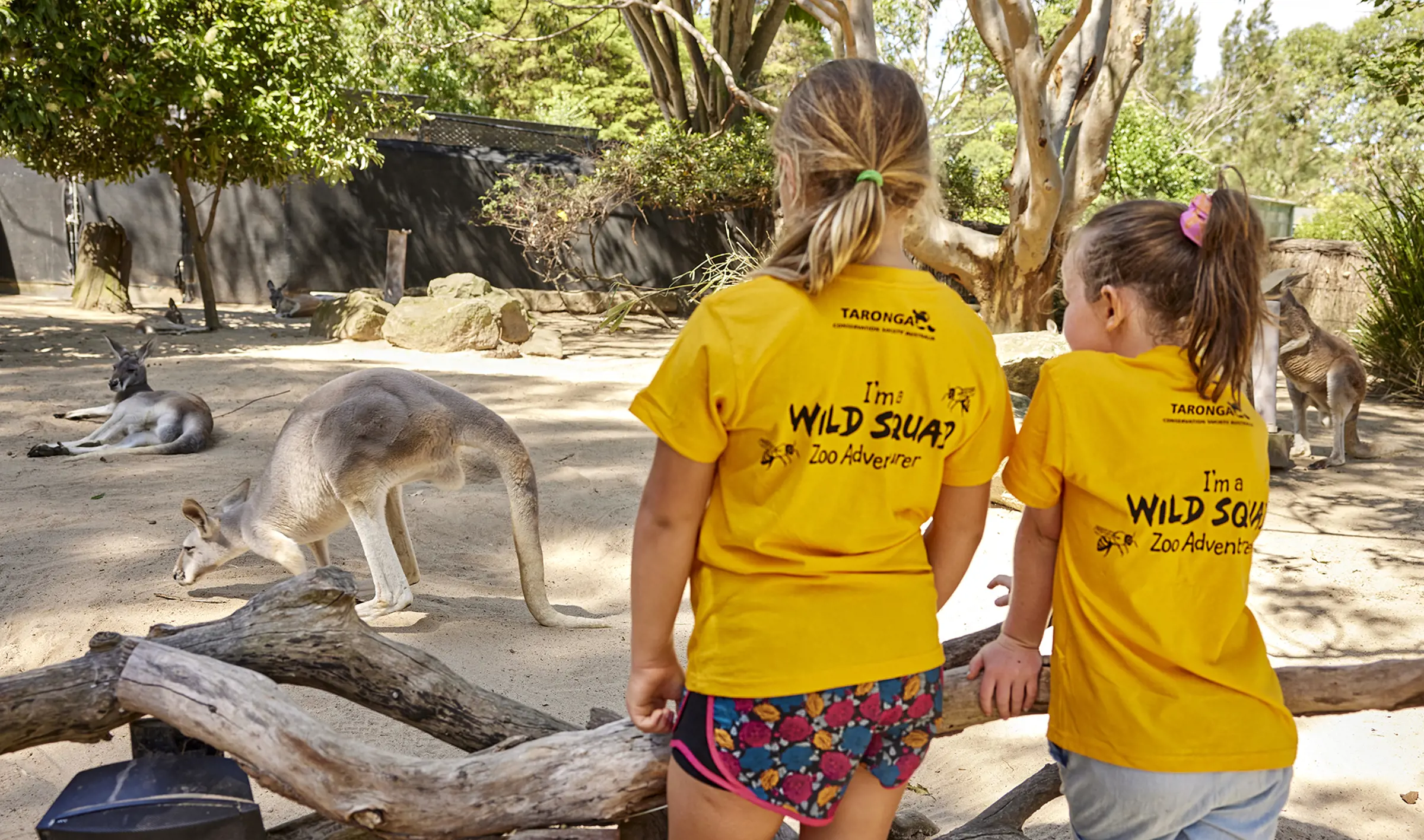 Children participating in a Zoo Adventures holiday program while observing kangaroos.