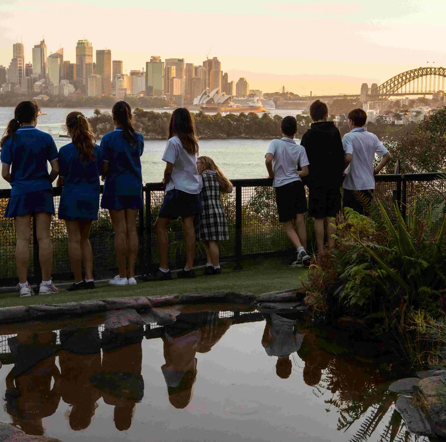 Students viewing Sydney Harbour and the Harbour Bridge during a Zoosnooz overnight education program.