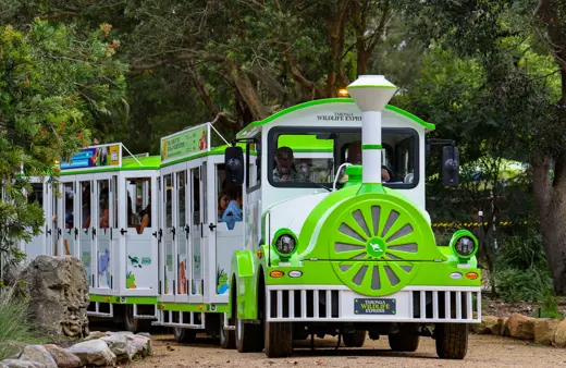 Image of Wildlife Express Train