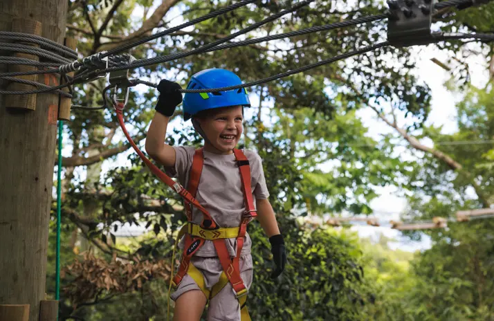 Image of Wild Ropes Treetops Adventure