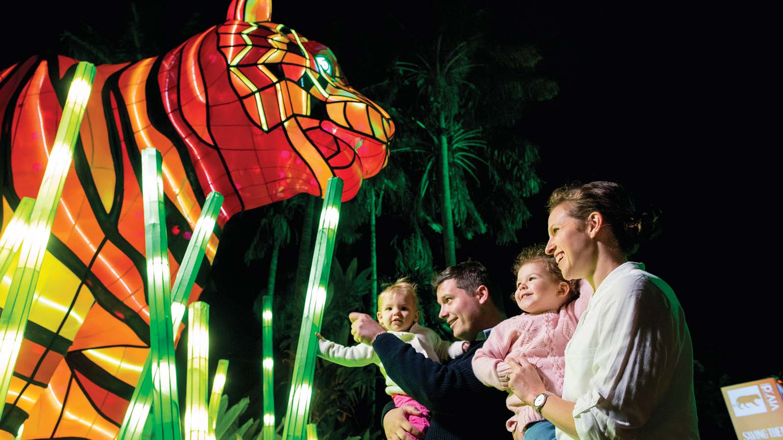 Vivid Sydney At Taronga Zoo