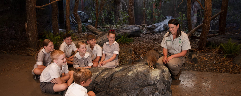 Students learning in the woodland Habitat Classroom