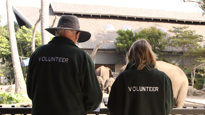 Volunteers at Taronga Zoo Sydney
