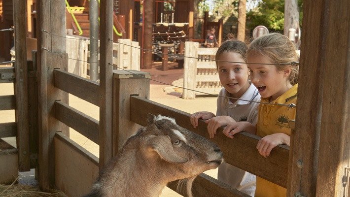 Students at Backyard to Bush at Taronga Zoo Sydney