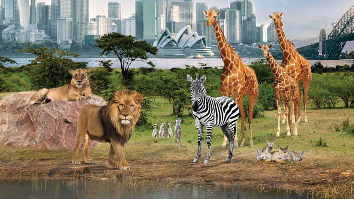 Must See | Taronga Conservation Society Australia