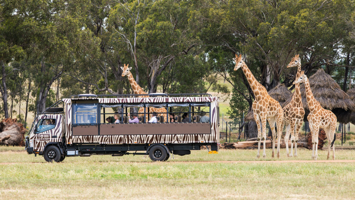 Savannah Safari at Taronga Western Plains Zoo Dubbo.