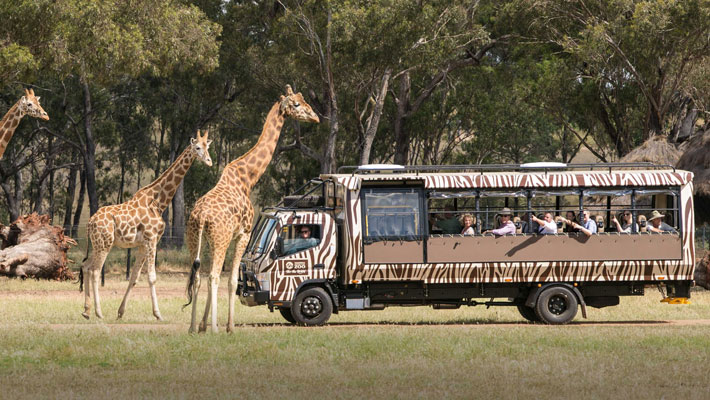 Savannah Safari at Taronga Western Plains Zoo Dubbo.