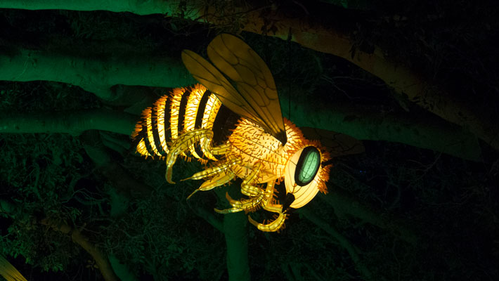 Light installation of bee