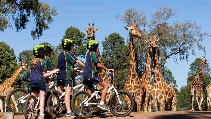 Excursion at Taronga Western Plains Zoo 