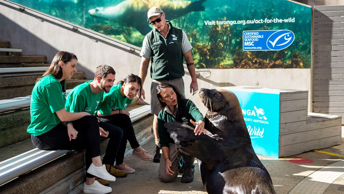 Keeper for a day experience at Taronga Zoo Sydney