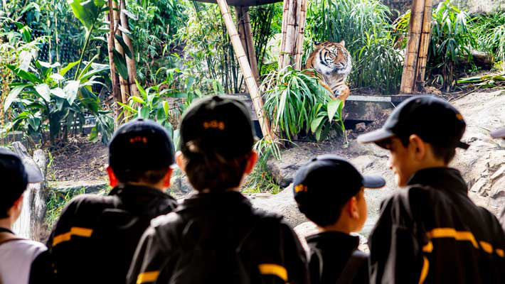 Self-guided excursion at Taronga Zoo Sydney