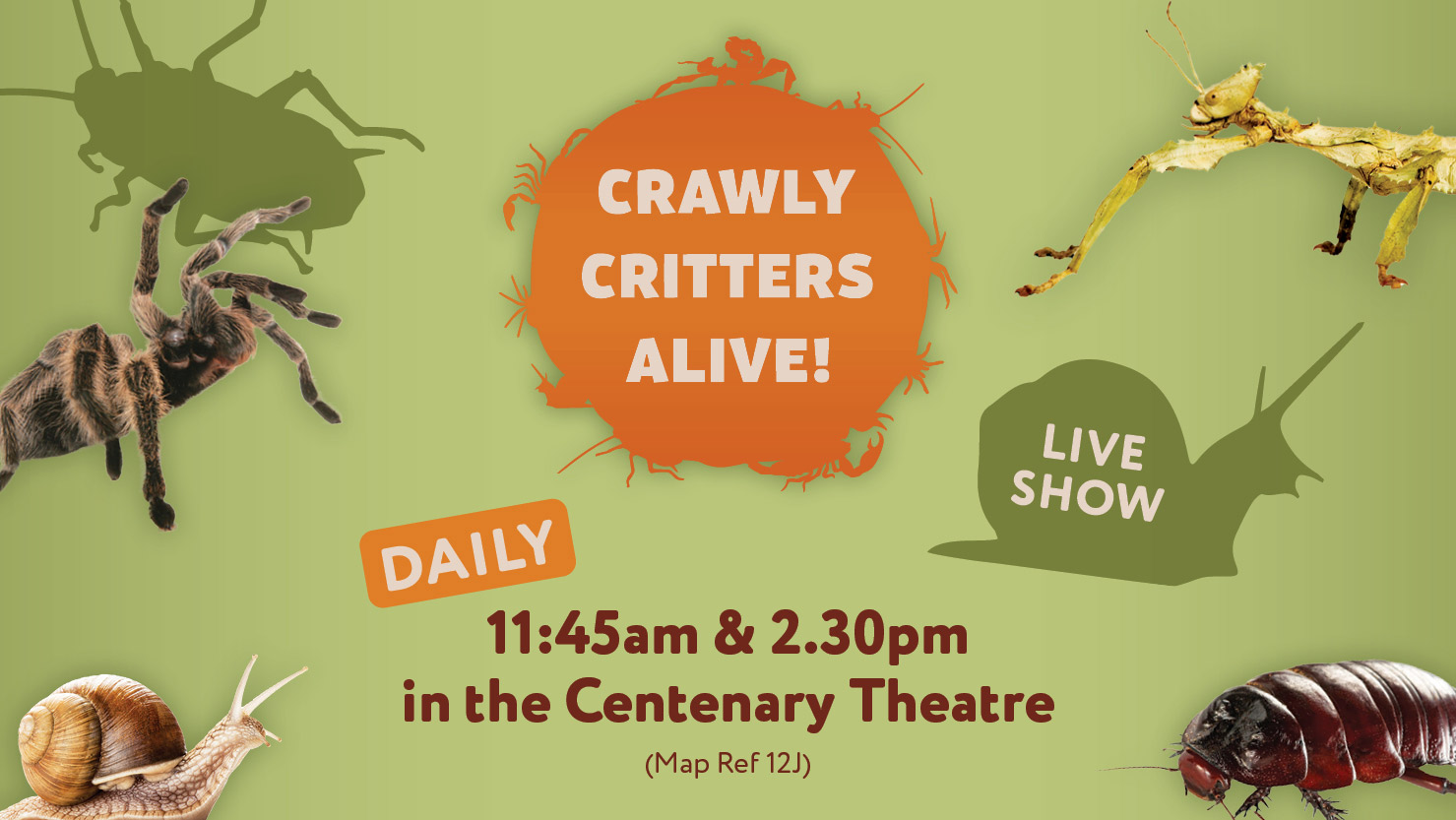 Crawly Critters Alive 